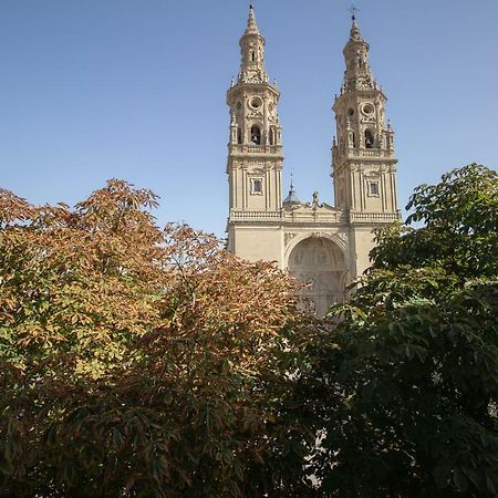 Apartamento La Redonda Catedral Y Aire Acondicionado Логроньо Экстерьер фото